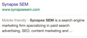 Synapse Google Listing