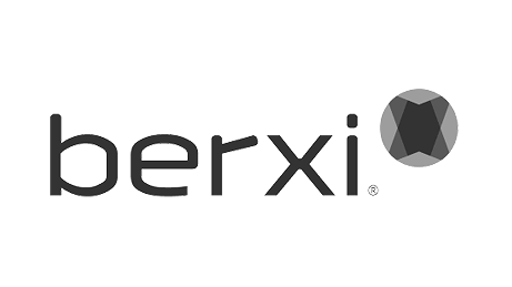 The image features the word "berxi" in lowercase letters with a geometric, faceted sphere logo to the right.